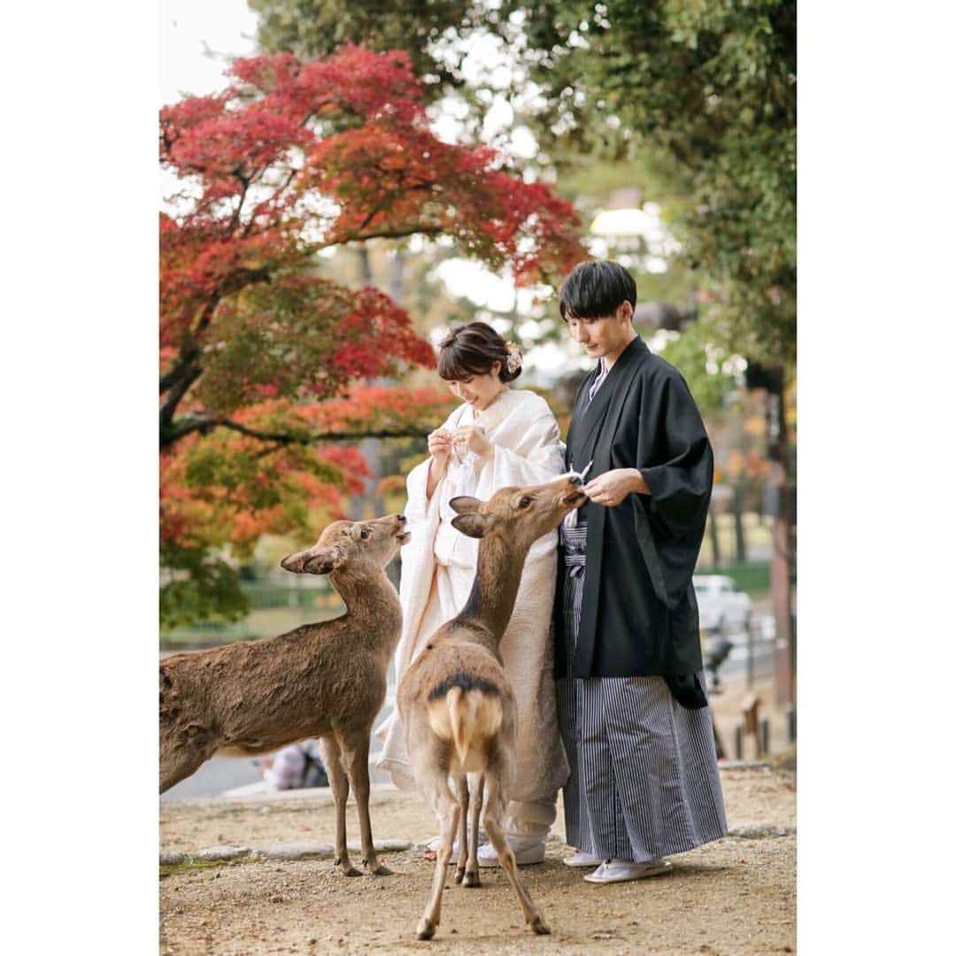 studioTVB NARAのインスタグラム