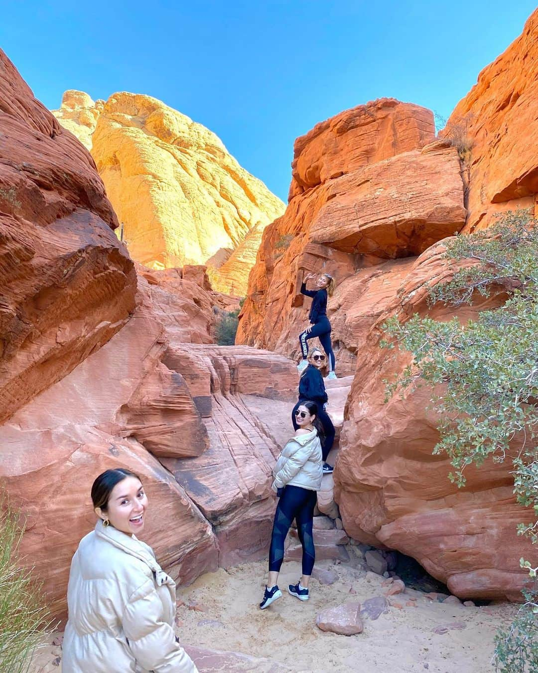 アリソン・リーのインスタグラム：「Taking the girls on a slightly different view than a Malibu hike」