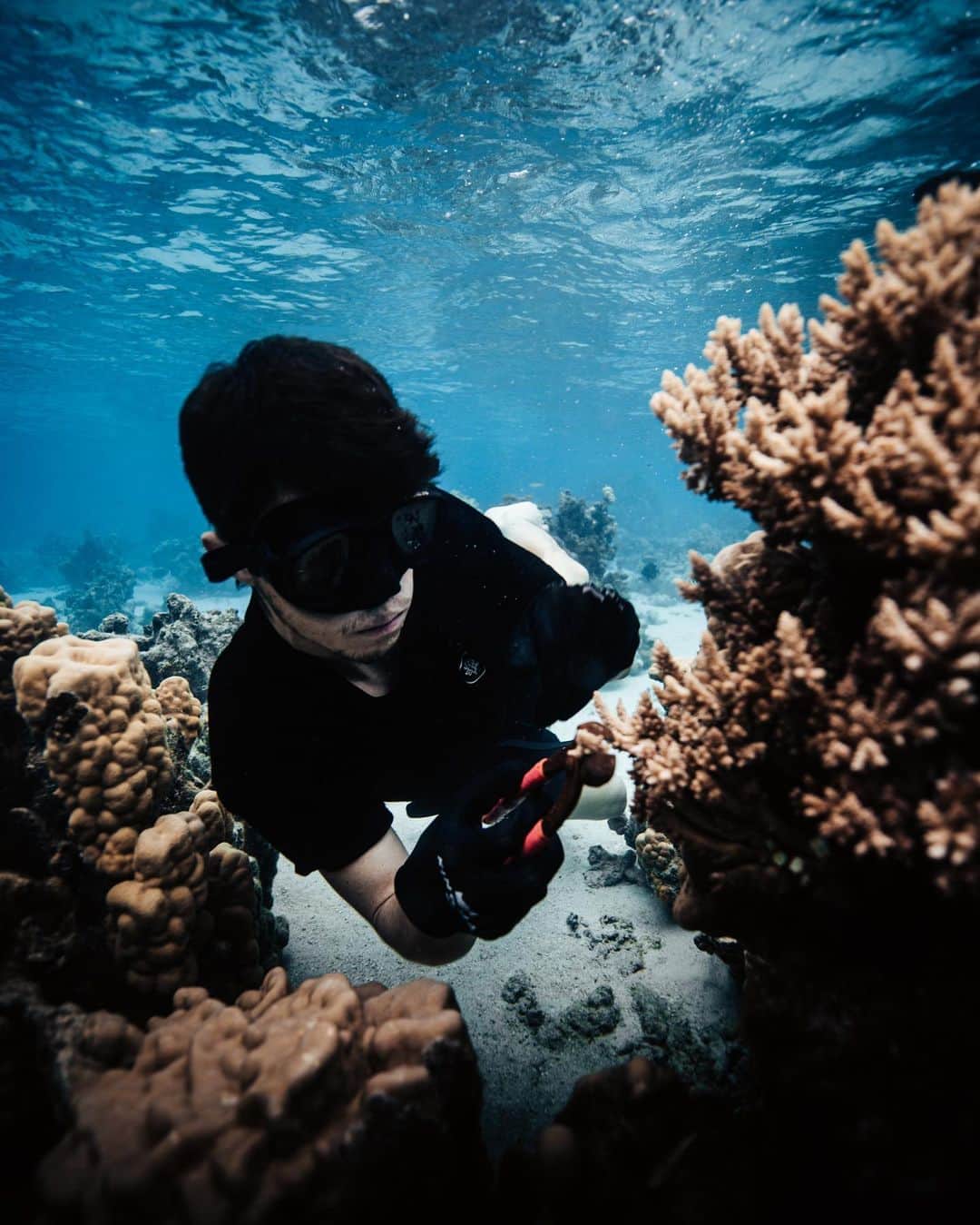 ナッシュ・グリアさんのインスタグラム写真 - (ナッシュ・グリアInstagram)「Coral reefs will be the first ecosystem to collapse due to global warming. We’ve already lost half of our coral reefs worldwide & if we continue at our current pace they will COMPLETELY DISAPPEAR by 2050 - you can already see signs of it happening here in remote French Polynesia. Our delicate world is so much more intertwined than we think - that’s why the @coralgardeners team has made it their mission to restore dying reefs & THEY NEED YOUR HELP! Visit the link in their bio (@coralgardeners) to adopt a “super coral” and join the fight for a better future. Keep up with us throughout the week as we grapple with the fight against global warming #WeTheReef 🌊」12月23日 6時10分 - nashgrier