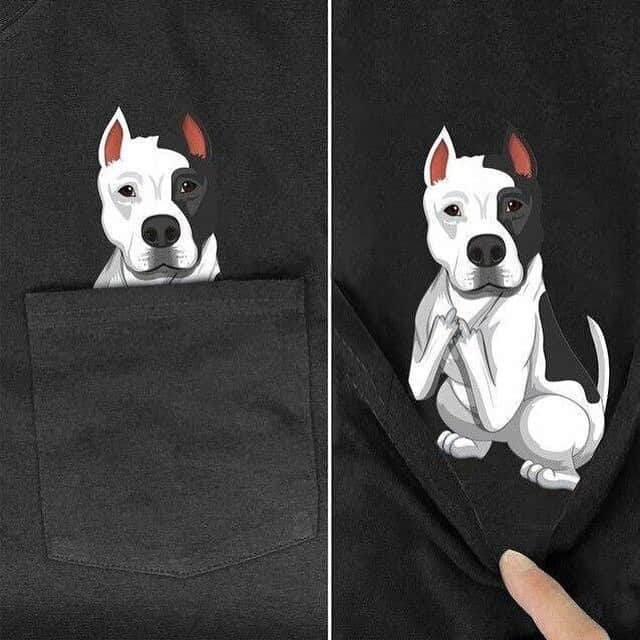 Pit Bull - Fansさんのインスタグラム写真 - (Pit Bull - FansInstagram)「Do you love pitbulls ? 🐶 Its your chance to proove it ❤️ You need to get these Various pitbull's Tshirts for you and for all your lovers 😻 ⚠️Take a look at our different Collections⚠️ 💥 LIMITED TIME OFFERS💥 ✈ FREE SHIPPING ALWAYS WORLDWIDE ✈ Order Here @zohotrends👈  Order Here @zohotrends👈 Order Here @zohotrends👈 👆Link in bio👆」12月23日 6時22分 - pitbullsfans__