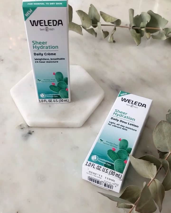 Weledaのインスタグラム：「Looking for the ultimate self-care escape? 🌵💚 Enjoy 25% off Our Sheer Hydration Collection on Day 6 of the 7 Days of Beauty event. Visit our stories to swipe up and save! #WeledaSkin」