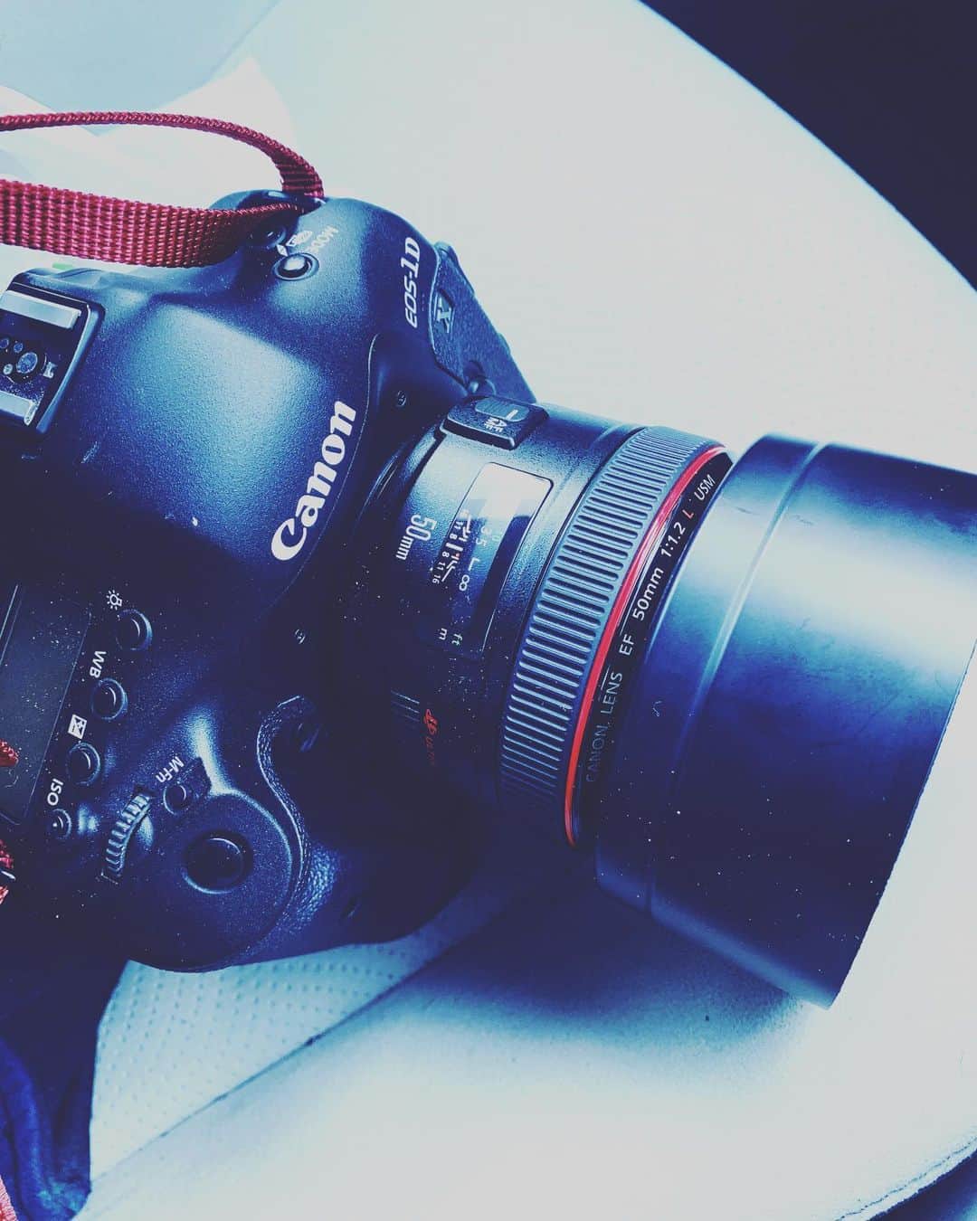 若葉紫のインスタグラム：「EF50mmF1.2LUSMが面白い。 #写真好きな人と繋がりたい  #カメラ好きな人と繋がりたい  #キヤノンeos」