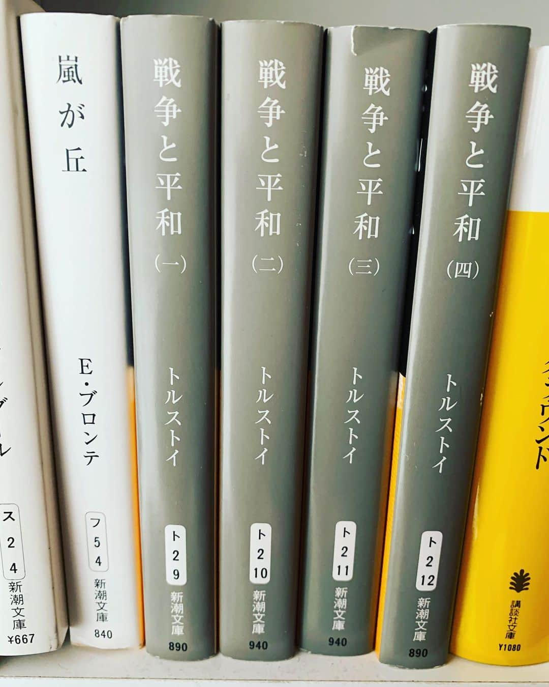 若葉紫のインスタグラム：「なかなか奥深い。 #読書好きな人と繋がりたい」