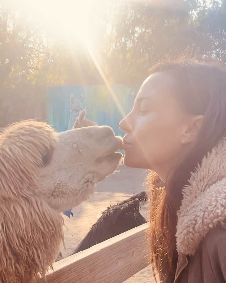 ブリアナ・エヴィガンのインスタグラム：「Morning alpaca hang kissing sesh. Loved the family sleep over cuddle party at the farm」