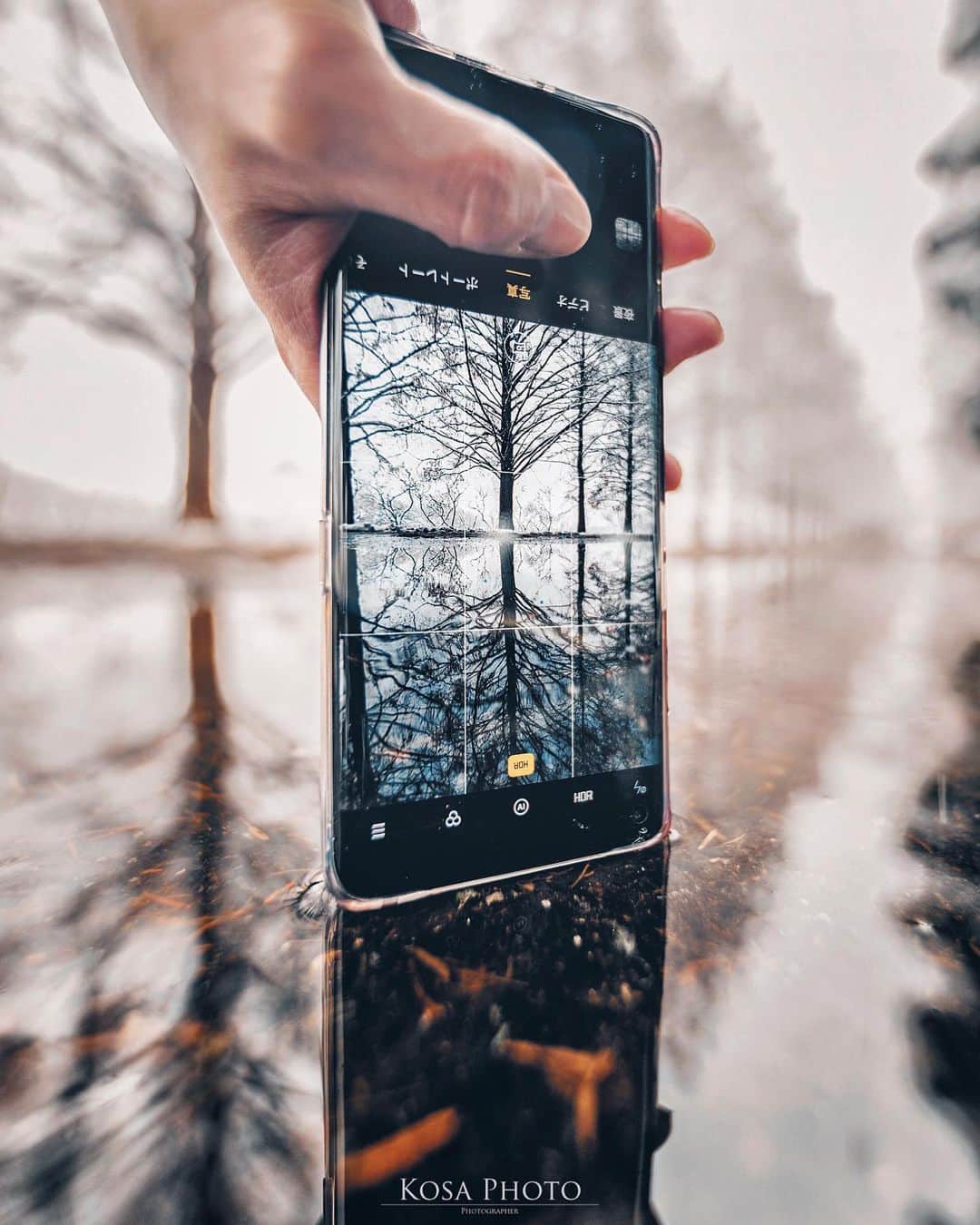 のインスタグラム：「リフレクションって絶対スマホの方が撮りやすいですね . Location:滋賀 Shiga / Japan🇯🇵 Date:2020年12月 . #メタセコイア並木 #しがトコ #raytrekフォトコンテスト2020 #レイトレッククリエイター #Japan_Daytime_View #IGersJP #nipponpic_member #広がり同盟メンバー #light_nikon #LBJ_Legend #art_of_japan_ #tokyocameraclub #dpj_member #team_jp_ #IG_PHOS #photo_jpn #ptk_japan #pt_life_ #bestjapanpics #Lovers_Nippon #sorakataphoto #special_spot_legend #s_shot #japan_of_insta #bestphoto_japan #Rox_Captures #kf_gallery_vip #1x_japan #jgrv_member #ap_japan_」
