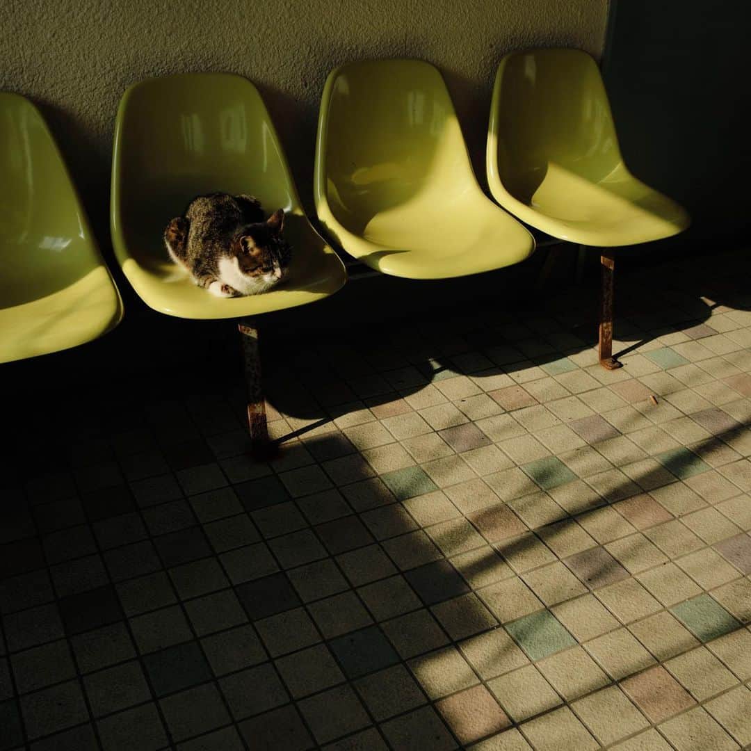 ををつかさんのインスタグラム写真 - (ををつかInstagram)12月23日 7時49分 - neco_ideas