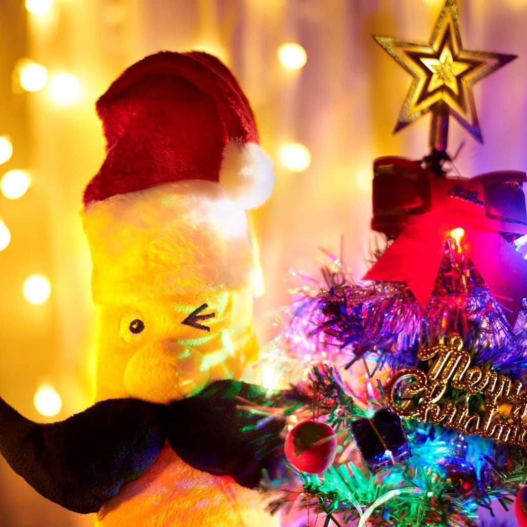 Sumifruさんのインスタグラム写真 - (SumifruInstagram)「もうすぐクリスマスじゃのう🎄 サンタクロースと一緒に みなに幸せを届けるのをお手伝いしたく、 バナナサンタになってみたのじゃ🎅  みんなに甘くて美味しいバナナをたくさん届けるぞよ♪  #バナナはスミフル #甘熟王 #sumifru #スミフル #サンタクロース  #クリスマス #バナナサンタ  #美味しいバナナ  #Xmas」12月23日 8時07分 - sumifru_banana