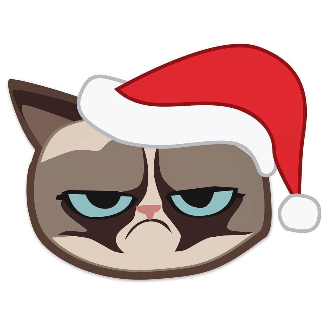 Grumpy Catさんのインスタグラム写真 - (Grumpy CatInstagram)12月23日 8時21分 - realgrumpycat