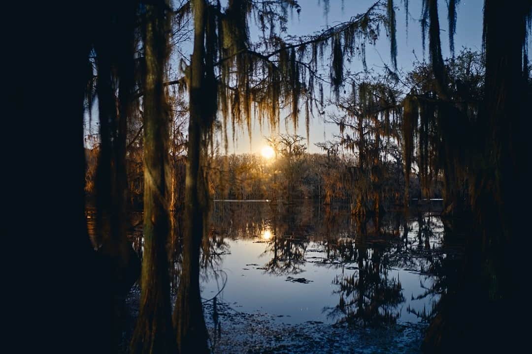 National Geographic Travelさんのインスタグラム写真 - (National Geographic TravelInstagram)「Photo by Matt Borowick @mborowick / The moon rises over the bald cypress trees in Caddo Lake in East Texas. The Spanish moss hanging down looked majestic over the stillness of the water. Follow @mborowick for more pictures like this. #nature #Texas #adventure #wilderness #Louisiana」12月23日 8時35分 - natgeotravel