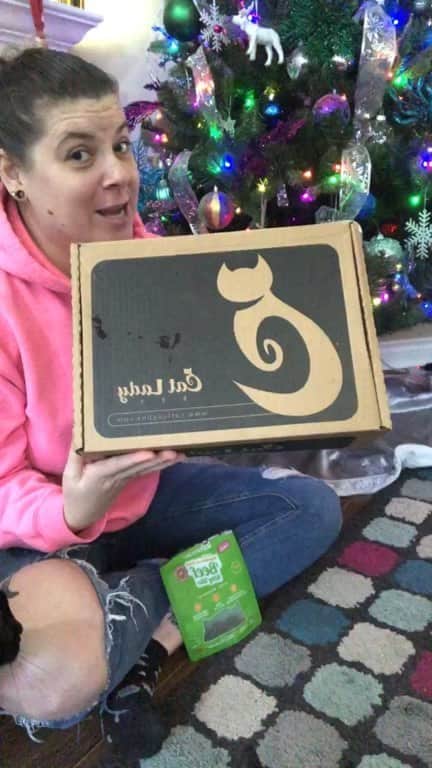 The Cats Of Instagramのインスタグラム：「Check out the December box! (Treats by @jaystastyadventures)」