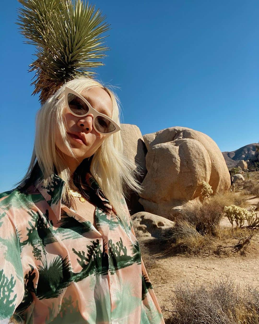 パク ・スジュのインスタグラム：「blending in w the environment」