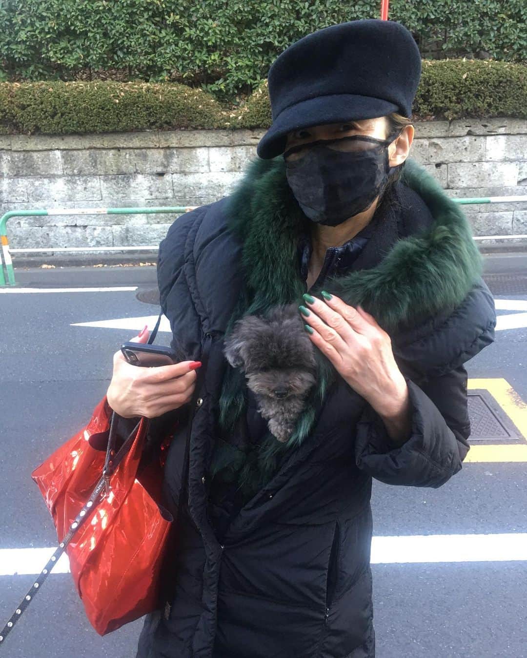 萬田久子さんのインスタグラム写真 萬田久子instagram Last Xmas Look Upしましょ おはようございます 散歩 Dog プードル Lastxmas Lookup 萬田久子 12月23日 8時52分 Hisako Manda Official