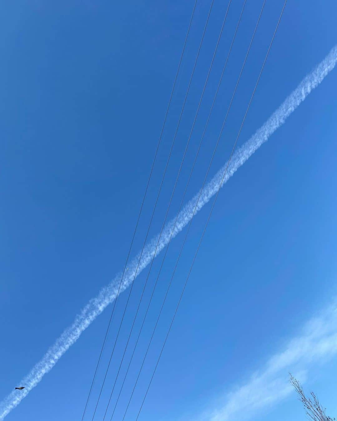 大地伸永さんのインスタグラム写真 - (大地伸永Instagram)「最近、空が澄んでて綺麗  こういう空をスカイダイビングしてみたい」12月23日 10時24分 - nobunaga_daichi