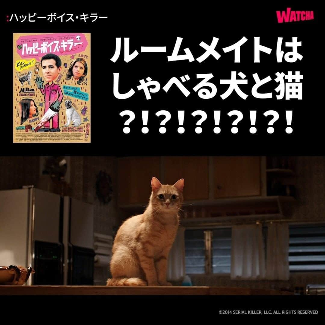 WATCHA(ウォッチャ) / 映画、ドラマ、アニメのインスタグラム