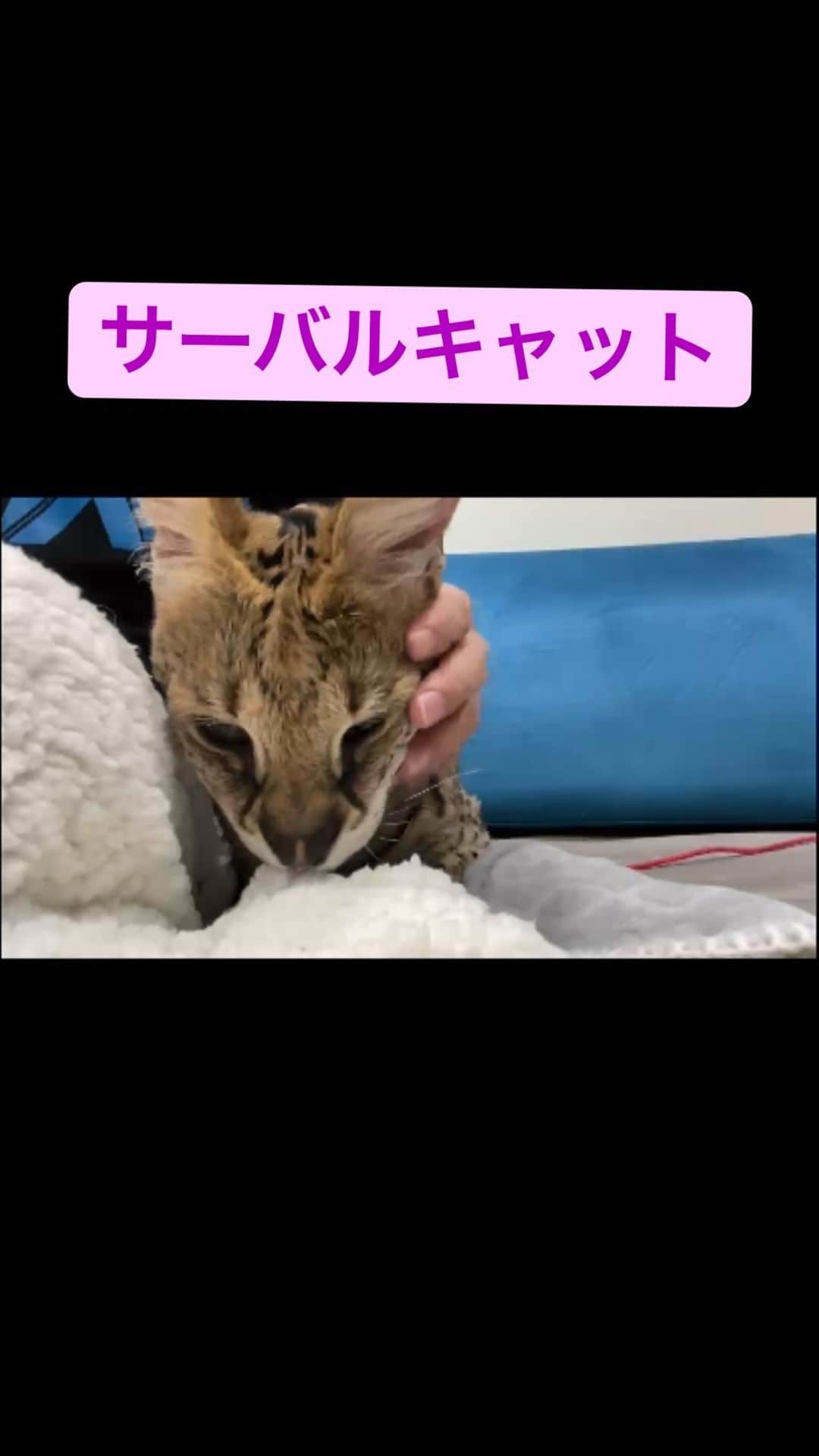 SKYtomoのインスタグラム