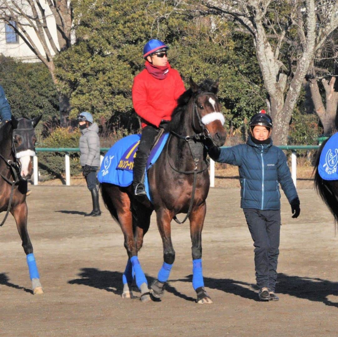 池添謙一さんのインスタグラム写真 - (池添謙一Instagram)「今日は美浦に！ 有馬記念　カレンブーケドール 阪神カップ　ステルヴィオ の調教に行ってきました🐴 いい感触は掴めました🐴  後は明日の枠順抽選会です！ 土曜、日曜と今年最後の競馬頑張ります🏇 自分を背負って頑張ってくれるのはカレンブーケドール、そこから自分ができる限り手助けして、一緒に頑張りたいと思います🏇 有馬記念5勝目！ そしてカレンブーケドールに初のタイトルを目指して頑張ります🏇  応援よろしくお願いします‼︎  #有馬記念」12月23日 20時27分 - kenchan.0723