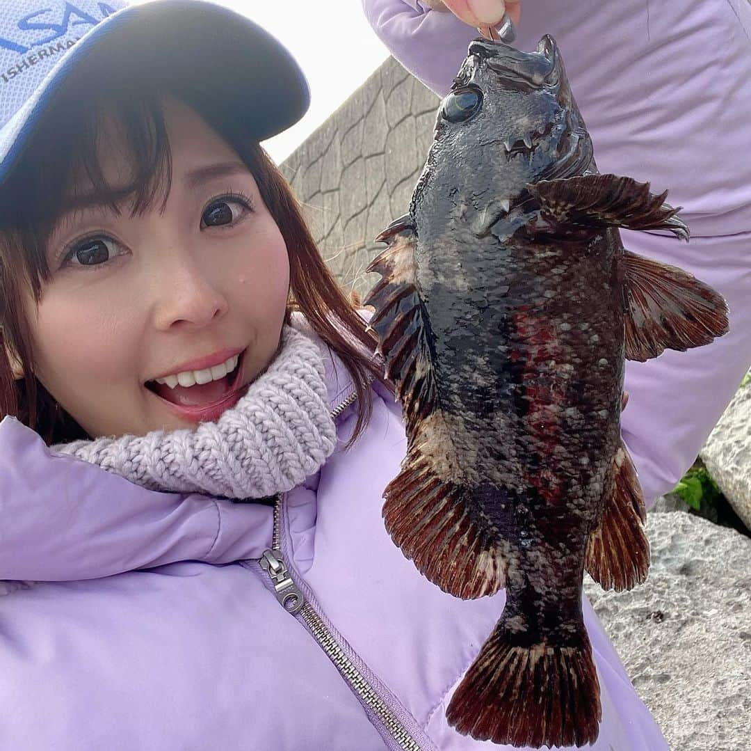 井上直美さんのインスタグラム写真 - (井上直美Instagram)「穴釣り好きー♡テトラや石積みの間にチョイっと仕掛けを入れるとプルプルとアタリが！楽しい釣だよね！本命のムラソイはもちろんカサゴも釣れました(*⁰▿⁰*)ポイントなど詳しい詳細は発売日の雑誌「磯・投げ情報」を読んでね♪  　#釣り　#釣りガール　#磯投げ情報　#穴釣り　#ムラソイ　#カサゴ　#テイルウォーク　#ササメ　#釣り好きな人と繋がりたい #井上直美　#なおチンぎょ」12月23日 20時33分 - naochingyo