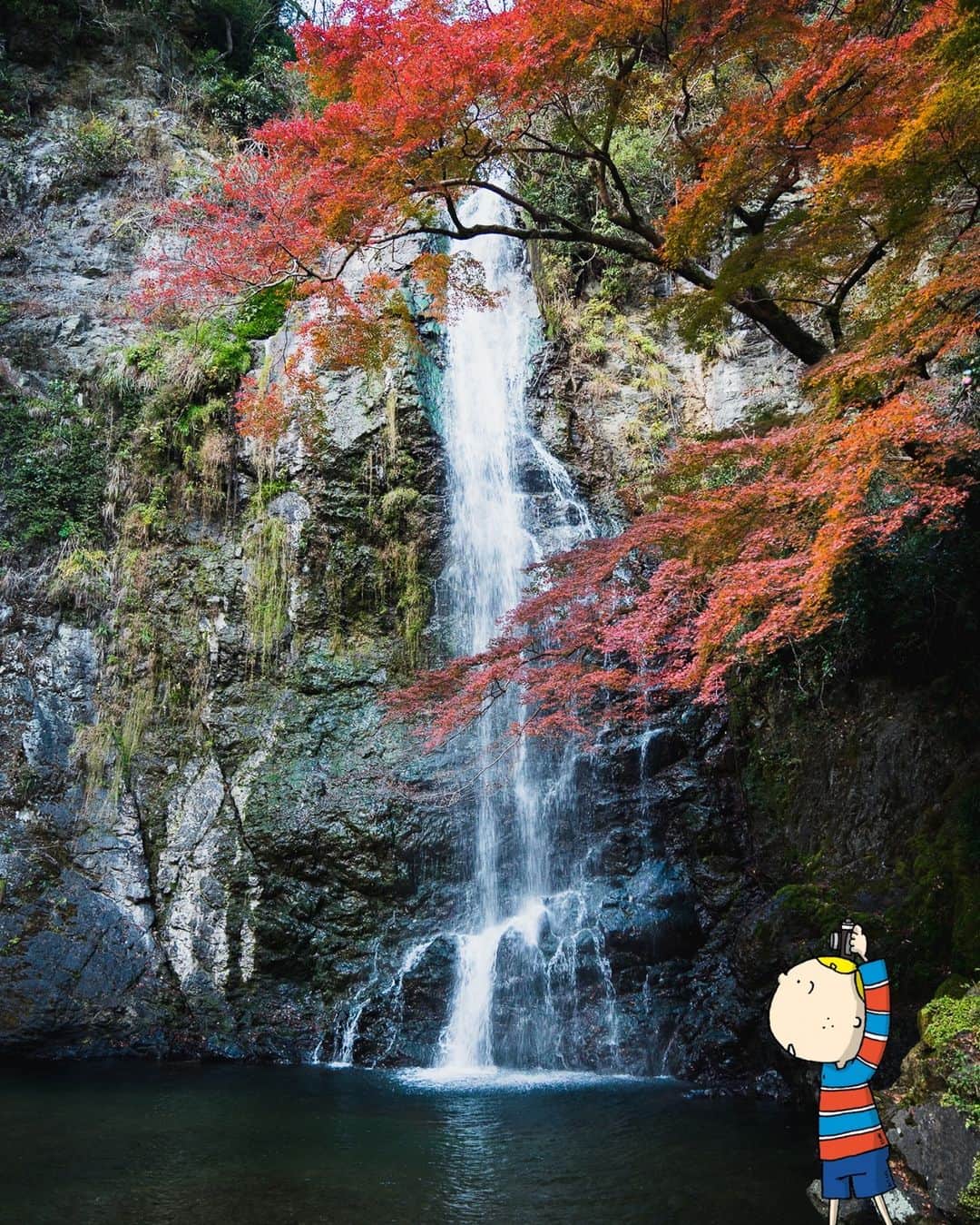 Osaka Bob（大阪観光局公式キャラクター）さんのインスタグラム写真 - (Osaka Bob（大阪観光局公式キャラクター）Instagram)「The scenery at Minoh Waterfall is different in every season🍁 And every season, it's absolutely beautiful😍  滝百選にも選出されている箕面公園内の箕面大滝！ 季節ごとに移り変わる周囲の景色とのコラボも見どころ🎶  ————————————————————— #maido #withOsakaBob #OSAKA #osakatrip #japan #nihon #OsakaJapan #大坂 #오사카 #大阪 #Оsака #Осака #โอซาก้า #minohwaterfall #箕面大滝 #waterfalls #minohpark #箕面公園」12月23日 20時55分 - maido_osaka_bob