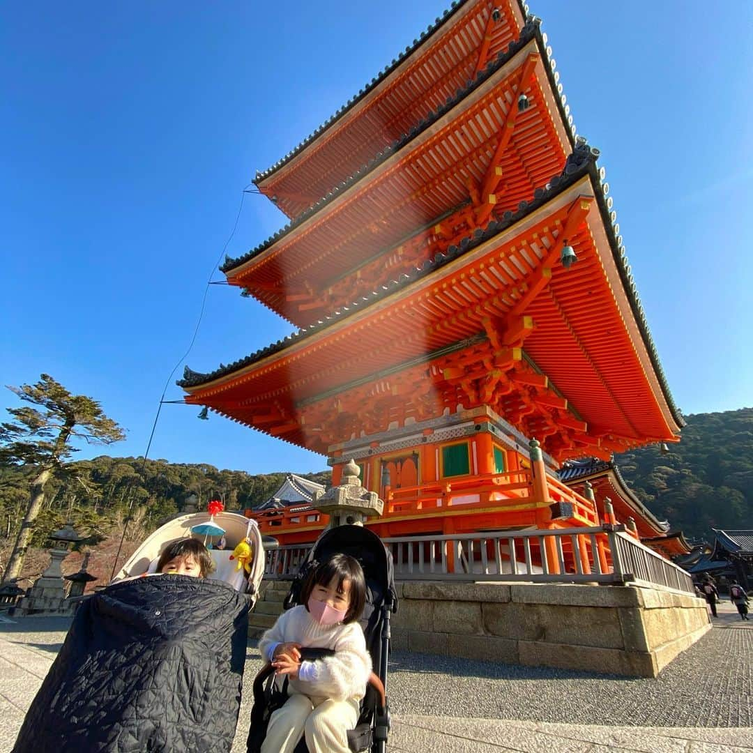 武内ペレス麻射のインスタグラム：「. 京都旅行2日目⛩ #kyoto#京都#清水寺#京都動物園#行きたいとこ詰め込み旅」