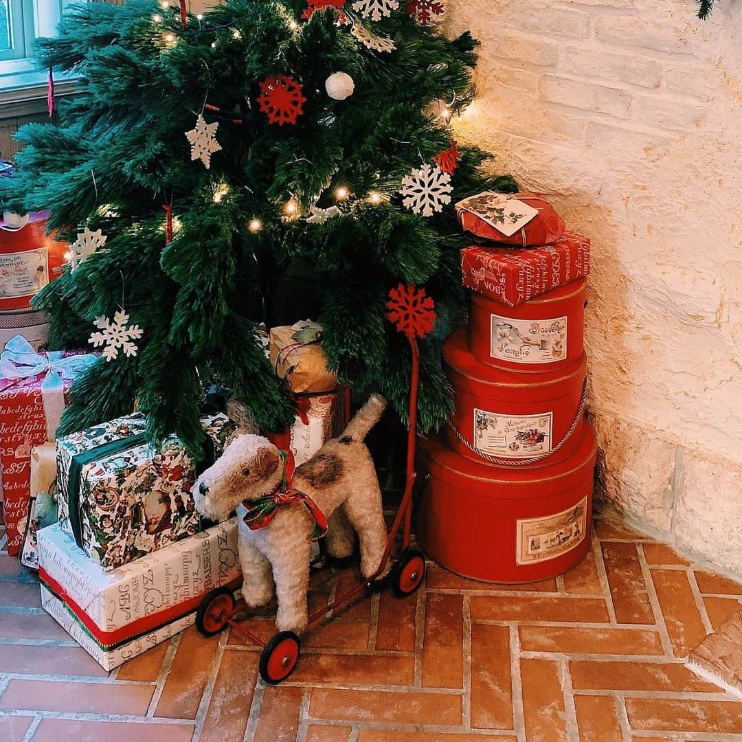 藤川らるむのグルメインスタ