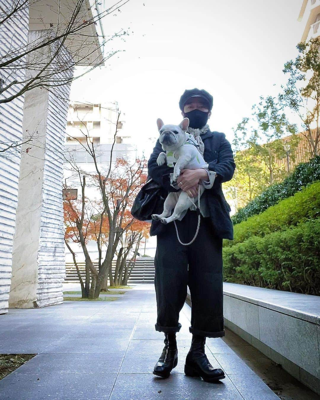 Ham-chanさんのインスタグラム写真 - (Ham-chanInstagram)「#フレンチブルドッグ #frenchbulldog #フレブル #frenchie #hamham #はむはむ #hamchan #はむちゃん #おはよう  いい天気😊🐶🌞  #paulharnden #ポールハーデン」12月23日 12時31分 - hide_ham_tank