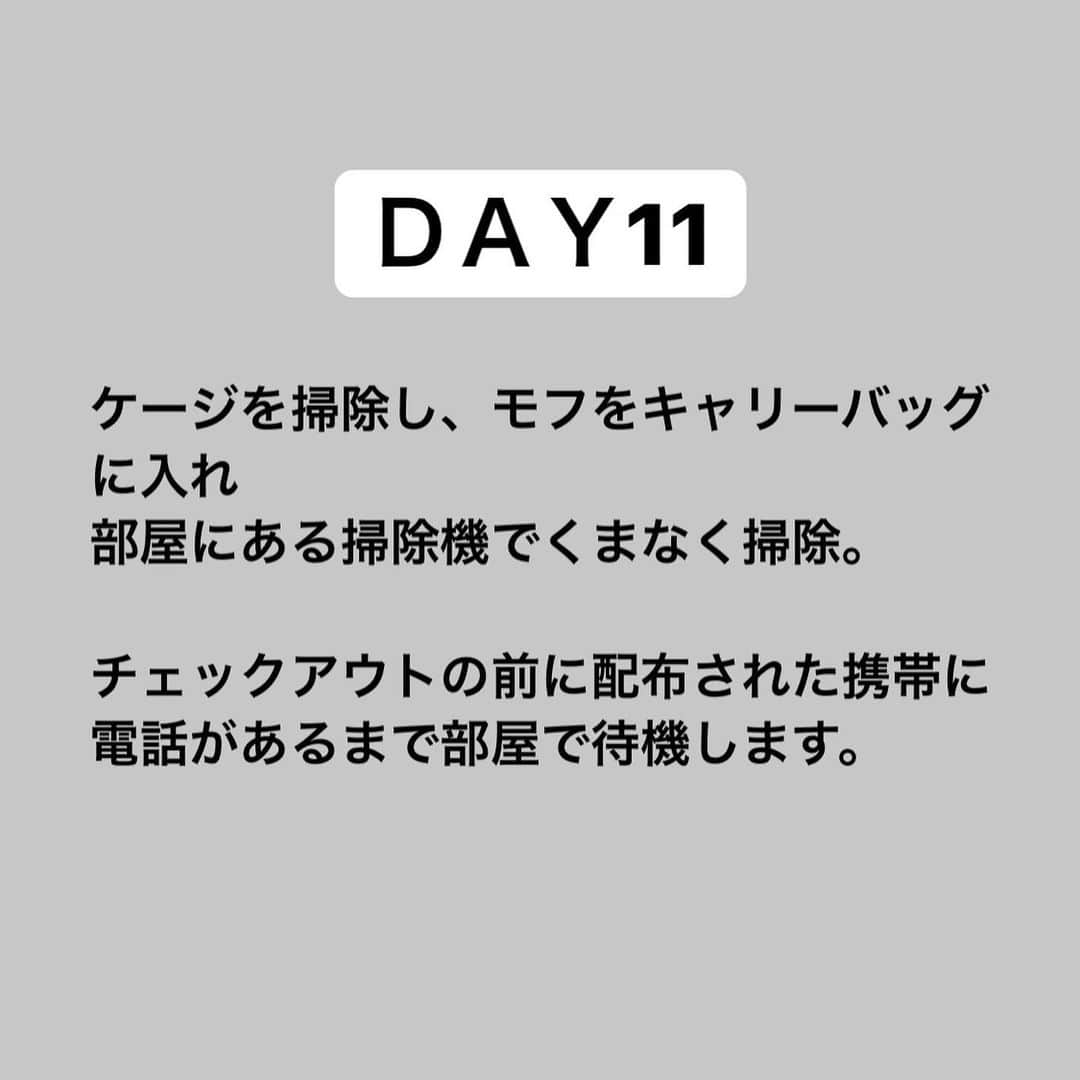 玉木碧さんのインスタグラム写真 - (玉木碧Instagram)「【 #コロナ記録　⑨】 療養施設を退所した日。  もうかなり昔のように感じます😂 もはや施設を出るのが少し寂しい感情さえ芽生えました。笑 施設スタッフの方には大変よくしていただき本当に感謝です🙇‍♀️  私は高熱全然出なかったけど陽性になっていたので、不調だけど熱ないから大丈夫とは思わない方がいいですね😓  断る勇気も必要です！ 私も断られる覚悟をもっていたいと思います😌  ※リアルタイム投稿ではなく時差投稿です！  #コロナ　#感染　#陽性　#療養施設　#ホテル療養　#入院 #PCR検査 #フリーアナウンサー　#玉木碧」12月23日 13時04分 - tamaki_aoi.official