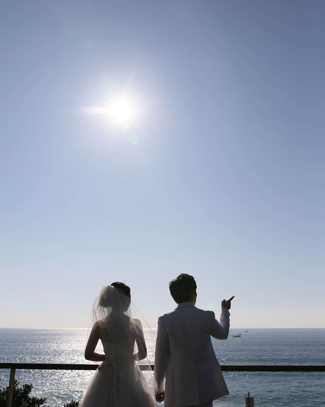 指帆亭のグルメインスタ