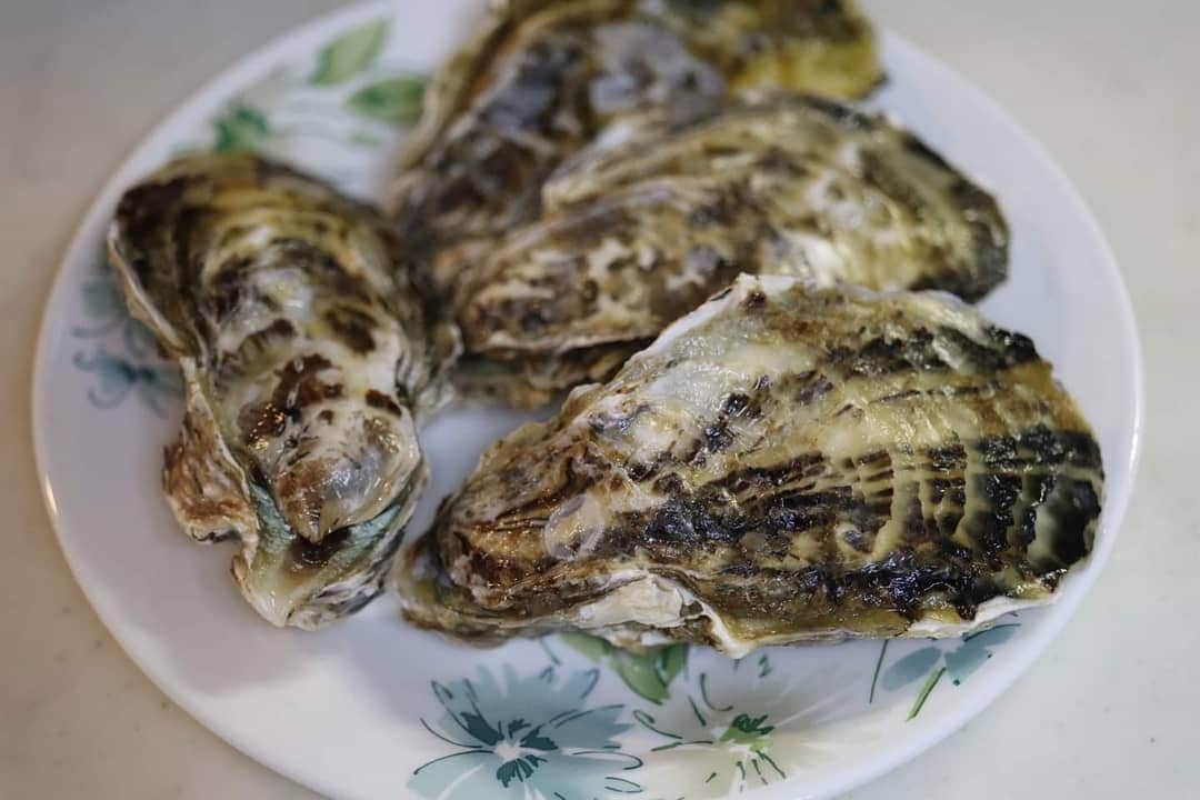 冨永裕輔さんのインスタグラム写真 - (冨永裕輔Instagram)「築上町のブランド牡蠣『豊前海一粒かき』が最盛期です！ この牡蠣の特徴は、身がとても柔らかくて臭みがありません。 今年はサイズは小粒のようですが、味が非常に濃厚で最高に美味しいですよ‼︎ 年末に牡蠣でご自分やご家族にご褒美タイムいかがでしょうか？おすすめです！ 購入は、「築上町ふるさと納税」にて、もしくは、「豊築漁業協同組合 椎田町支所」０９３０ー５６ー０１２０に直接お電話でどうぞ！  #築上町 #ブランド牡蠣 #牡蠣 #豊前海一粒かき #おいしい #濃厚 #柔らかい #年末に #ごほうびごはんに #おすすめ #ふるさと納税 #魚介 #貝 #kaki #oyster #japan #chikujo #buzen #kyushu #fukuoka」12月23日 13時12分 - yusuketominaga_official