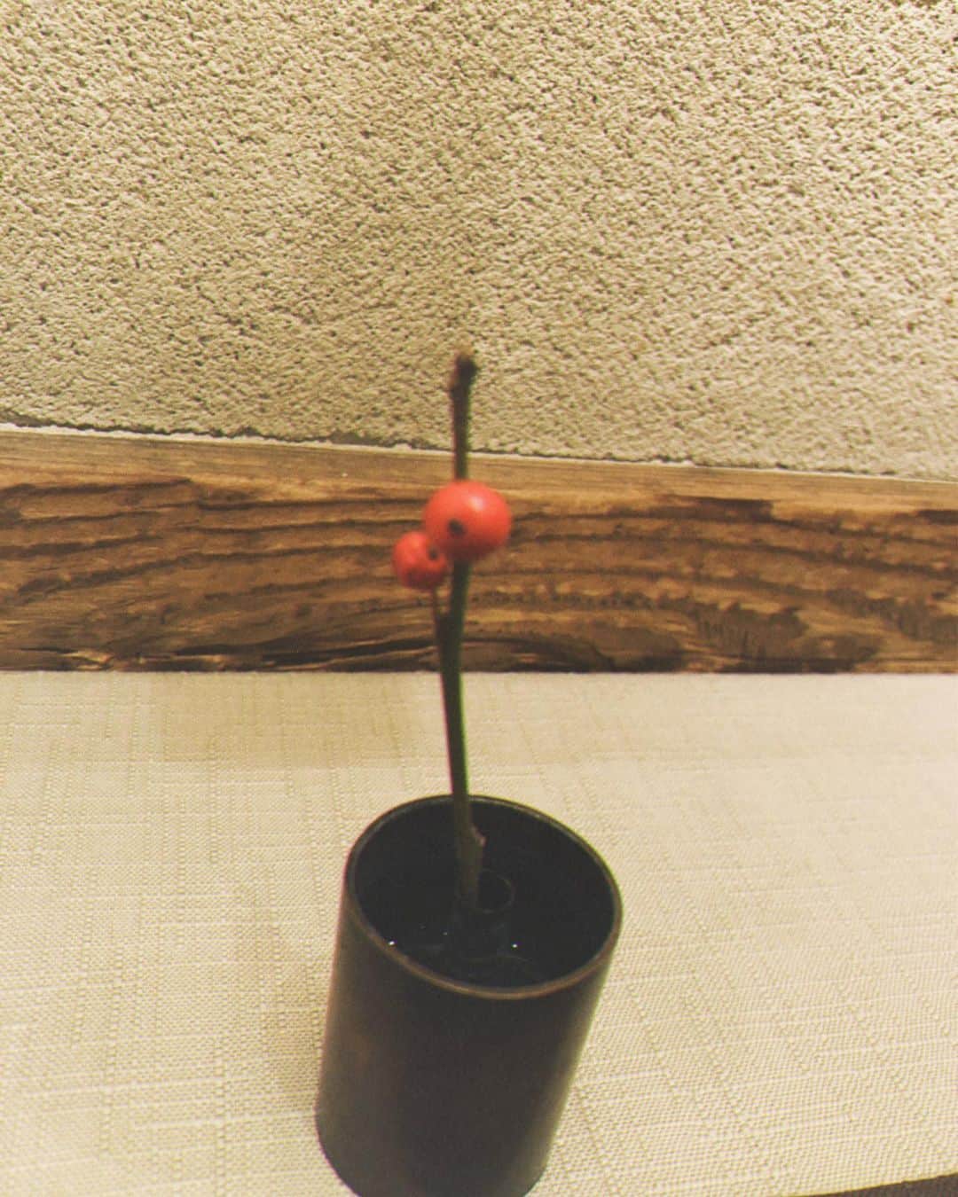 伊藤梨沙子さんのインスタグラム写真 - (伊藤梨沙子Instagram)「冬になるとよく見かけるものシリーズ♪  赤い木の実..調べたら色々な名前がありどれなのか。。千両、万両、あたりかな？  三日月は通年みられるけれど冬の三日月が特にすき！  この画質が私の携帯の限界🤤」12月23日 13時22分 - ito_risako