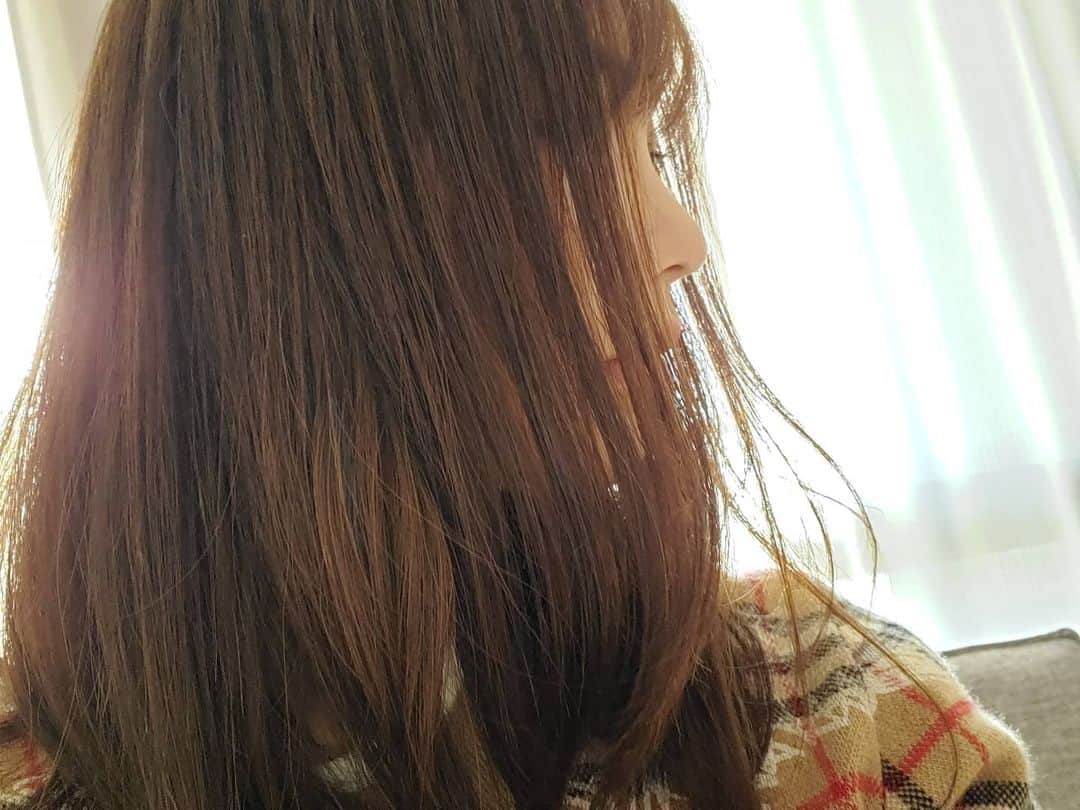 保坂玲奈さんのインスタグラム写真 - (保坂玲奈Instagram)「ヘアメンテ年内に間に合った...🤍  少しピンクを入れた新色らしいです︎☺︎  最近髪の毛伸びてきてアレンジが楽しい😋  #セミロング#SHEA#ピンクブラウン」12月23日 13時31分 - __renao_0707