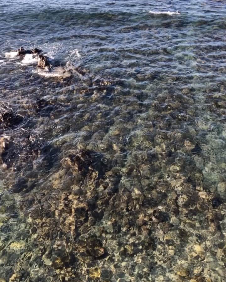 ヒデトレのグルメインスタ