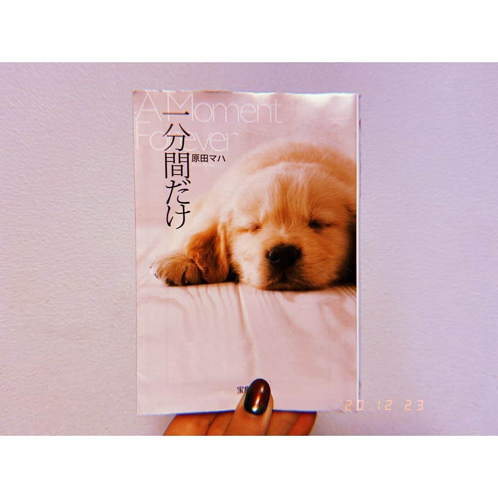 のインスタグラム：「うさぎやで売り上げランキングベスト3を買い占めた10月。小説がどうしても進まなかったんだけど、移動中の読書はとてもはかどる。せっかく札幌に連れて帰ってきたのにまた宇都宮に一緒に行くことに。わはは、ちなみに行きの機内で読み切ったよ！雑誌の編集部で働く主人公が彼とゴールデンリトリーバーを飼うんだけど、彼と別れてから仕事と犬との両立が難しくなりいなくなればいいのに、、、と思い始めて。そしたら愛犬が本当に病気になってしまって、、、闘病生活の中で大切なものに気づき始めるお話。ワンちゃんと一緒に生活している人には特にグッとくると思う。犬がいるからこそできることできないこと、犬の優しさがつまっていて、ほろっとしたよ。祖母宅で飼っていたマルチーズのチャーミーを思い出したな、全然懐かなくて(ワタシが子供の頃いたずらしすぎた)仲良くなれなかったけど。  #一分間だけ #原田マハ #読書 #ハヤシの読書」