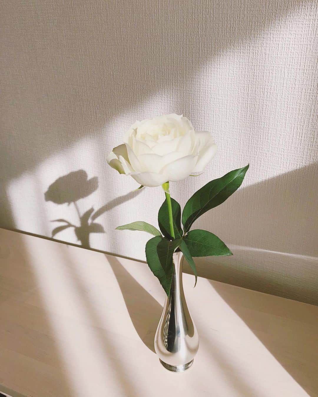 熊澤枝里子のインスタグラム：「とても好きな言葉。  ふと訪れた場所で目にしたもの。  自分にとって必要だったタイミングに観た映画で心に残ったもの。  本を読んで見かけた心に染みたネイティブアメリカンに伝わるもの。  “I see beauty everywhere. And love in everyone.”  “You can put yourself in the way of beauty.”  “Walk in beauty.”  それぞれ表現は少し違うけど、伝えたいことは同じじゃないかな。  『美しさの中に生きる』  いろんなタイミングはあれどここに立ち返ってこれるように😌💖」