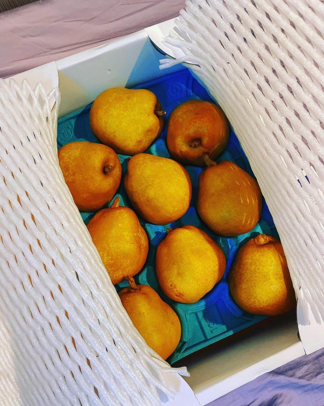 加藤美帆さんのインスタグラム写真 - (加藤美帆Instagram)「実家から、ラ・フランスが届きました🍐 家族の暖かさにホッコリ。 #らふらんす  #ラフランス #fruit #果物 #やはり地元が恋しくなるね」12月23日 15時45分 - miho_kato07