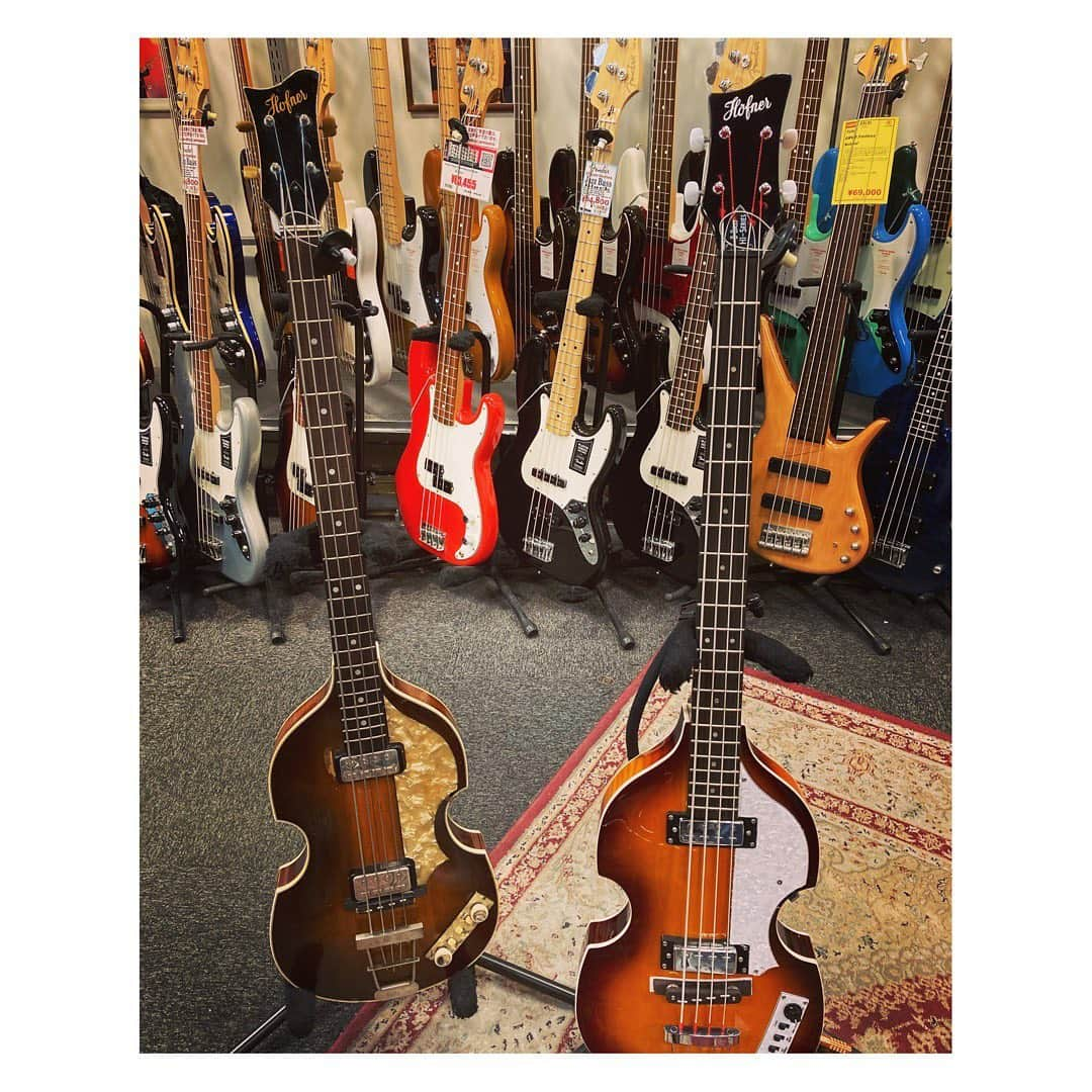 林幸治さんのインスタグラム写真 - (林幸治Instagram)「57歳と1歳（推定）  #hofner」12月23日 21時39分 - tct_koji_hayashi