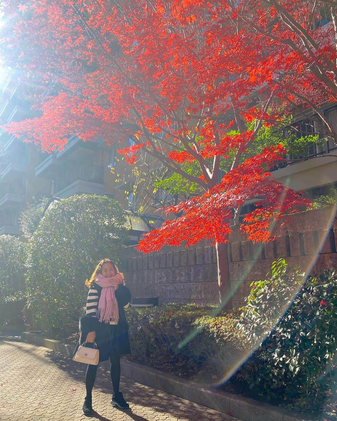 伊藤羽仁衣さんのインスタグラム写真 - (伊藤羽仁衣Instagram)「🍁🍁🍁  . #hanyito」12月23日 16時15分 - hanyito