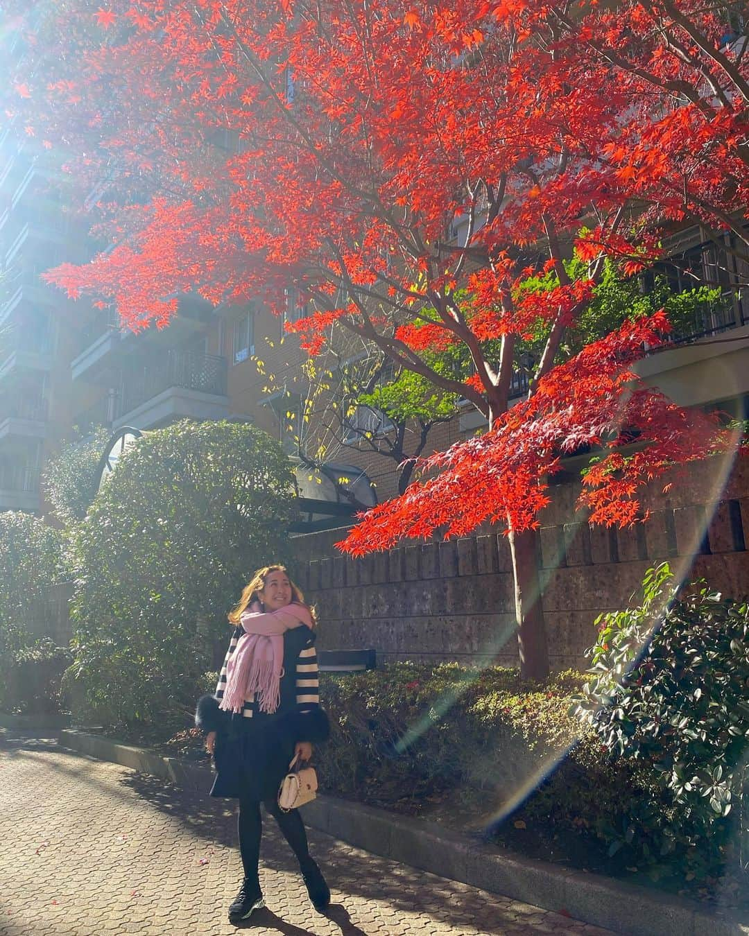 伊藤羽仁衣さんのインスタグラム写真 - (伊藤羽仁衣Instagram)「🍁🍁🍁  . #hanyito」12月23日 16時15分 - hanyito