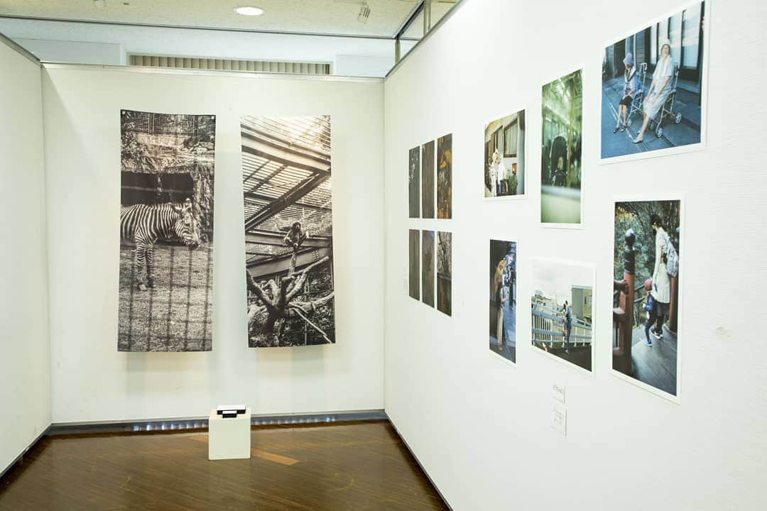 東京造形大学 Tokyo Zokei Universityさんのインスタグラム写真 - (東京造形大学 Tokyo Zokei UniversityInstagram)「_ 写真専攻領域2年生による合同写真展 「Scrap & Visions」 ・ スクラップブック展と壁面での展示による合同写真展を、本日より開催しています📚📷 写真にイラストや文字、モノなど様々なものを組み合わせることで、写真表現の在り方を探ります🖍️📌✂️🐶 ・ 12/23（水）～12/27（日）11:00～18:30 ※最終日17:00まで ＠八王子市学園都市センター11F（JR八王子駅より徒歩3分） 入場無料 ・ #東京造形大学 #アート #美術 #デザイン #美術大学 #大学 #授業 #美大 #写真 #カメラ #tokyozokeiuniversity #arts #design #artuniversity #film #camera」12月23日 16時30分 - tokyo_zokei_univ_official