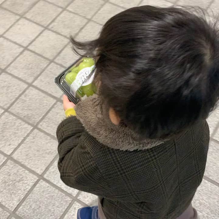 百千糸のインスタグラム：「スーパーで数あるぶどうの中からシャインマスカットを見つけて買ってとアピール。笑 美味しいのを知ってるのねー （お昼寝の寝癖💦）」