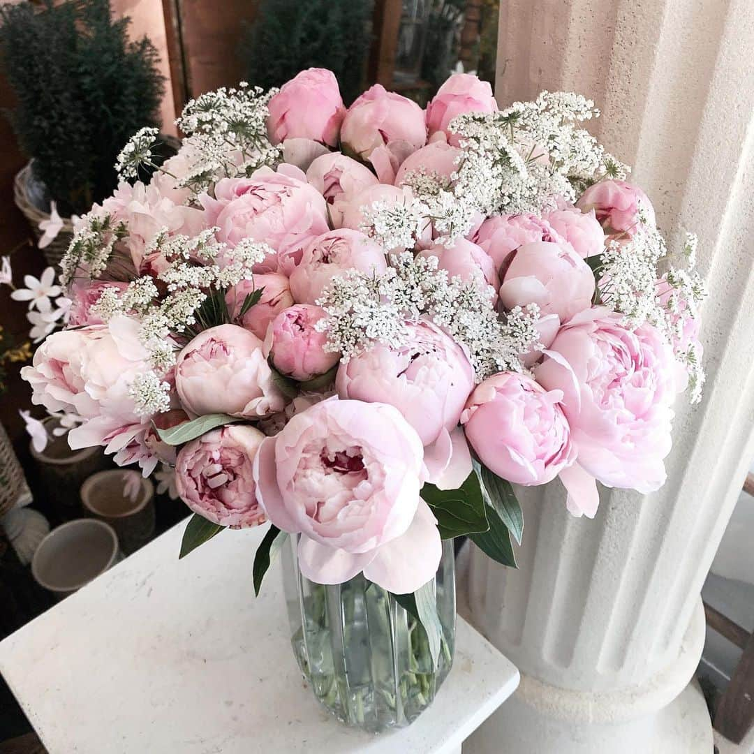 Florist.janeさんのインスタグラム写真 - (Florist.janeInstagram)「크리스마스에 작약 문의가 많이와요 💘 현재 수입 작약이 시장에 조금 나오긴 하지만 단가가 너무 비싸요 😂 그래서 겨울엔 블루밍스완에선 작약을 이용한 작품을 만들지 않습니다.😂 아쉽지만 내년 봄을 기다리며 작약과 흡사한 장미로 대체해서 작품을 만들어 드릴게요 💘 #블스베이스  . .  Hello! unfortunately peony is not in season now, however i can replace with very beautiful roses instead. Please let me know if you have any additional questions. . . . .  👆🏻블스 주문건 경우 배송료는 모두 별도 입니다. . ✌🏻배송 시간은 매번 달라지는 교통 상황에 따라 정각에 맞출  수 없으며 대략적인 시간대에 배송해드립니다.(ex 1시-2시)  👌🏻상품 문의시 원하시는 작품 캡쳐후 문의주시면 빠르게 답변도와드리겠습니다💕  🤟🏻매번 달라지는 꽃 시장 상황에따라 샘플 사진과 100% 동일하게 제작은 어렵습니다. 최대한 비슷하게 또는 사진 보다 더욱 예쁘게 제작해드리니 전적으로 플로리스트 의견을 믿어주세요 🙏🏻  .  . . .  #블루밍스완 #꽃스타그램 #꽃집 #일상 #선물스타그램 #와이프생일 #와이프선물 #꽃선물 #프로포즈 #결혼기념일 #기념일 #flowers #연예인서포트 #연예인꽃선물 #기념일선물 #강남꽃배달 #꽃배달 #강남꽃집 #논현동꽃집 #생일선물 #생신선물 #크리스마스 #크리스마스선물」12月23日 17時18分 - jane.florist