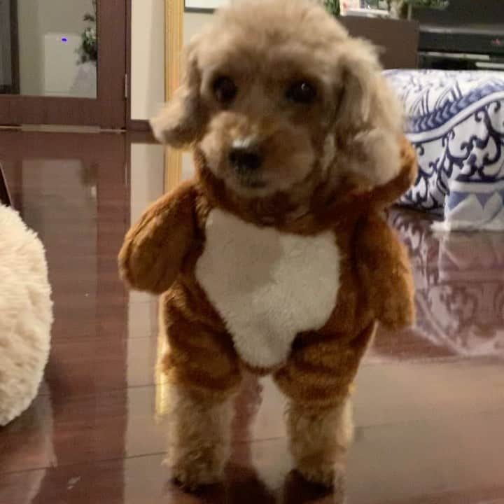荒生暁子のインスタグラム