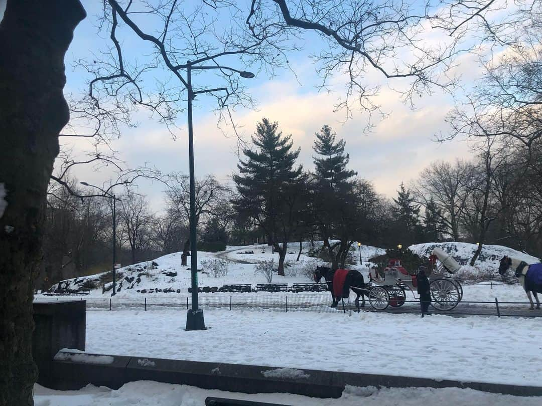 白渚すずのインスタグラム：「・ Central parkでは岩盤の積雪で そり遊びをしている人がいっぱい居て とっても楽しそうでした。 そり遊びって、街中でも出来ちゃう所あるんだな‼︎って驚きでした。  緑いっぱいのCentral Park好きだけど、 雪景色もなかなか良き♡  #Centralpark#centralparknyc #ny#nyc#newyork#usa#snow#winterstorm#snowstorm2020#雪#ニューヨーク#ニューヨーク生活#セントラルパーク#アメリカ生活#アメリカ」