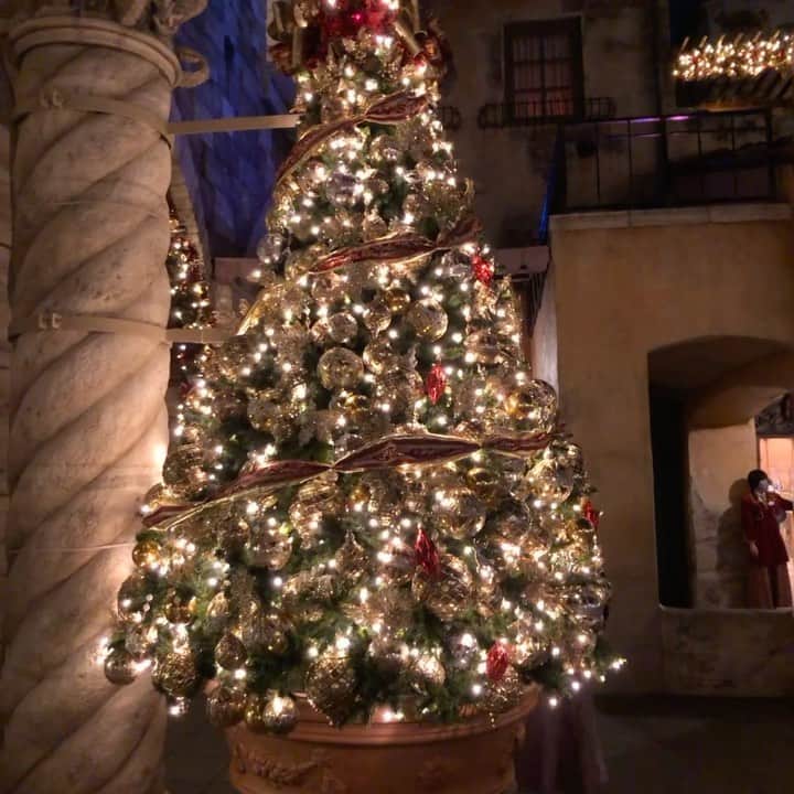 Chihiroのインスタグラム：「ディズニーは年間を通して楽しいけれど、クリスマスはまた特別✨ 装飾も豪華でまさに夢の国でした🐭❤️ クリスマスは1年間のうちで1番好きなイベント🎄  #イメージコンサルタント #イメージコンサルタントの休日 #ディズニー動画 #クリスマスディズニー #東京ディズニーシー #クリスマス」