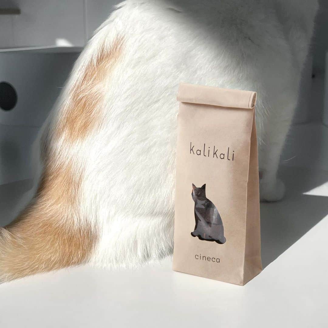 cinecaさんのインスタグラム写真 - (cinecaInstagram)「今年8月にオープンした保護猫喫茶necomaでkalikali（ネコ気分なクッキー）販売いただいてます。 猫が好きな方、猫を家族に迎えたいと考えてる方、ぜひnecomaへお立ち寄りください。猫の過ごしやすさとデザイン性が両立し猫と人間の“間”が心地の良い空間です。  #Repost @necoma_gallery with @get_repost ・・・ cinecaのkalikaliクッキーと、necomaのオリジナルブレンドコーヒー豆、 冬のギフト販売中🐈 人間も、🐈猫気分でカリカリ食べてみてください！  #cineca #kalikali #カリカリ #necoma #保護猫喫茶necoma #sweets #ネコ気分なクッキー  #猫クッキー　 #クリスマスプレゼント  #christmasgifts #メルシィ人生 #deintuitiefabriek  #amsterdam」12月23日 17時58分 - cineca
