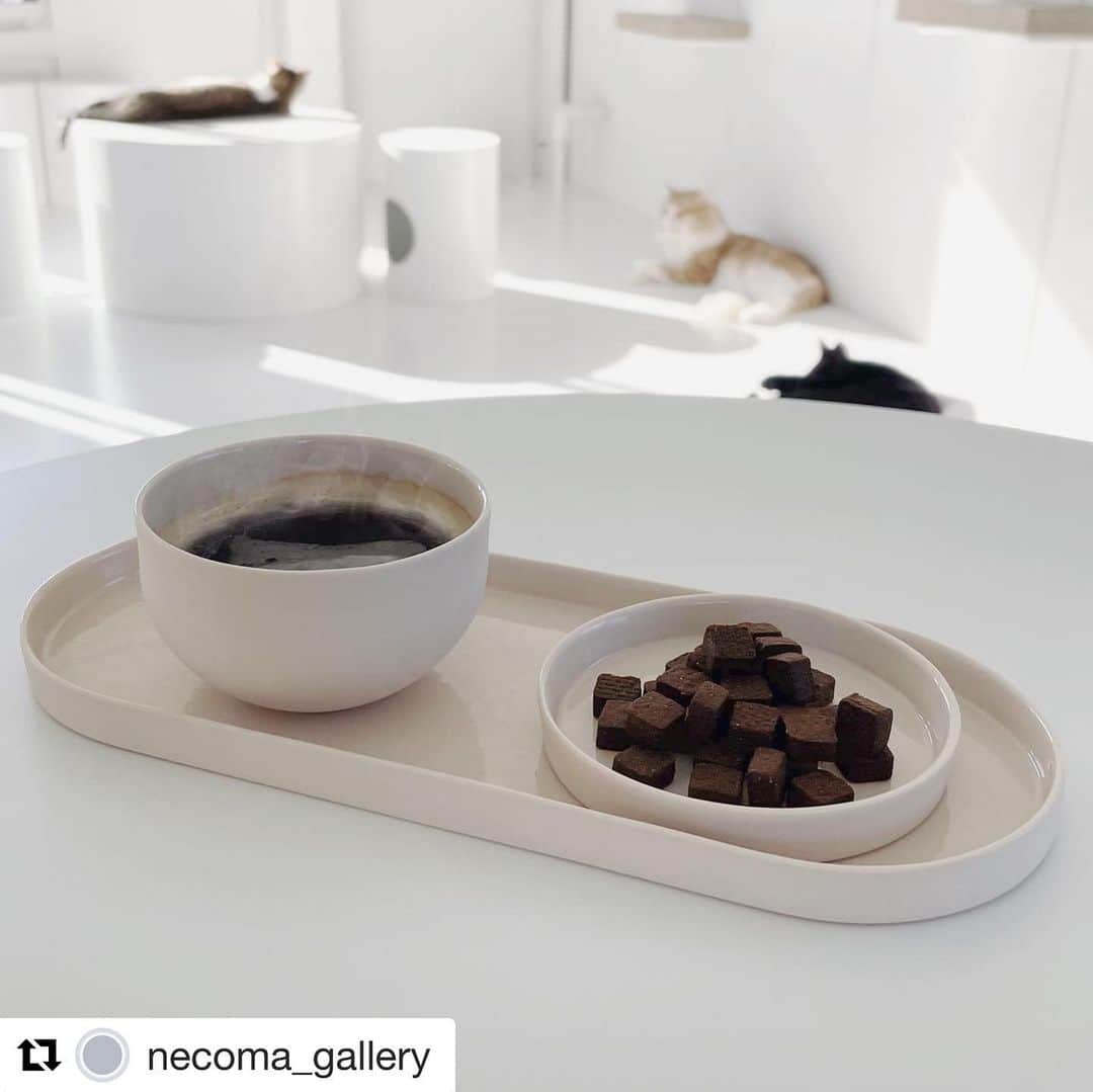 cinecaのインスタグラム：「今年8月にオープンした保護猫喫茶necomaでkalikali（ネコ気分なクッキー）販売いただいてます。 猫が好きな方、猫を家族に迎えたいと考えてる方、ぜひnecomaへお立ち寄りください。猫の過ごしやすさとデザイン性が両立し猫と人間の“間”が心地の良い空間です。  #Repost @necoma_gallery with @get_repost ・・・ cinecaのkalikaliクッキーと、necomaのオリジナルブレンドコーヒー豆、 冬のギフト販売中🐈 人間も、🐈猫気分でカリカリ食べてみてください！  #cineca #kalikali #カリカリ #necoma #保護猫喫茶necoma #sweets #ネコ気分なクッキー  #猫クッキー　 #クリスマスプレゼント  #christmasgifts #メルシィ人生 #deintuitiefabriek  #amsterdam」