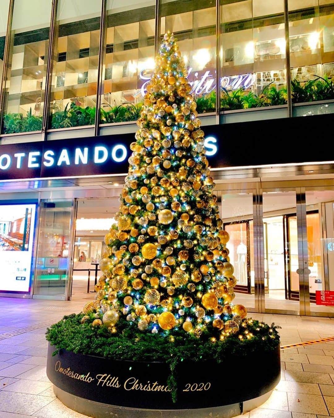 吉村優さんのインスタグラム写真 - (吉村優Instagram)「🤶 * Merry Christmas Eve💝 の前日🙌 * 今年も残りわずか🏃‍♀️🏃‍♀️🏃‍♀️ 早いよ〜💨💨💨 * #christmas #christmastree #countdown #今年もあとわずか」12月23日 18時10分 - yuyoshimura87