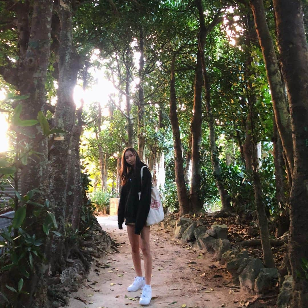 小西陽向さんのインスタグラム写真 - (小西陽向Instagram)「🌳🚶‍♀️ . . . #神戸　#セレッソ大阪応援ナビゲーター　 #関西　#インフルエンサー　#お洒落さんと繋がりたい　#美容　#エステ　#神戸女子 #女子大生 #セレッソ大阪　#セレサポ　#セレ女　#jリーグ　#model #関西モデル　#スポーツ女子　#空手　#器械体操　#空手女子　#jリーグ　#jリーグ女子　#make #makeup #ootd #sunset #沖縄　#沖縄旅行　　#沖縄観光　#sunset #ふくぎ並木」12月23日 18時56分 - hinata713