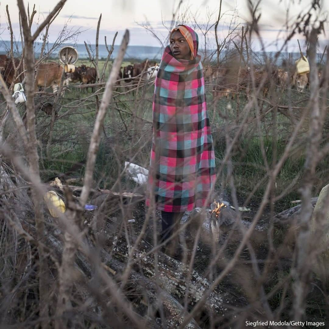 ABC Newsさんのインスタグラム写真 - (ABC NewsInstagram)「A Maasai man keeps watch over his cattle in the Mara North Conservancy, Kenya.  #kenya #africa #maasaimara」12月23日 19時00分 - abcnews