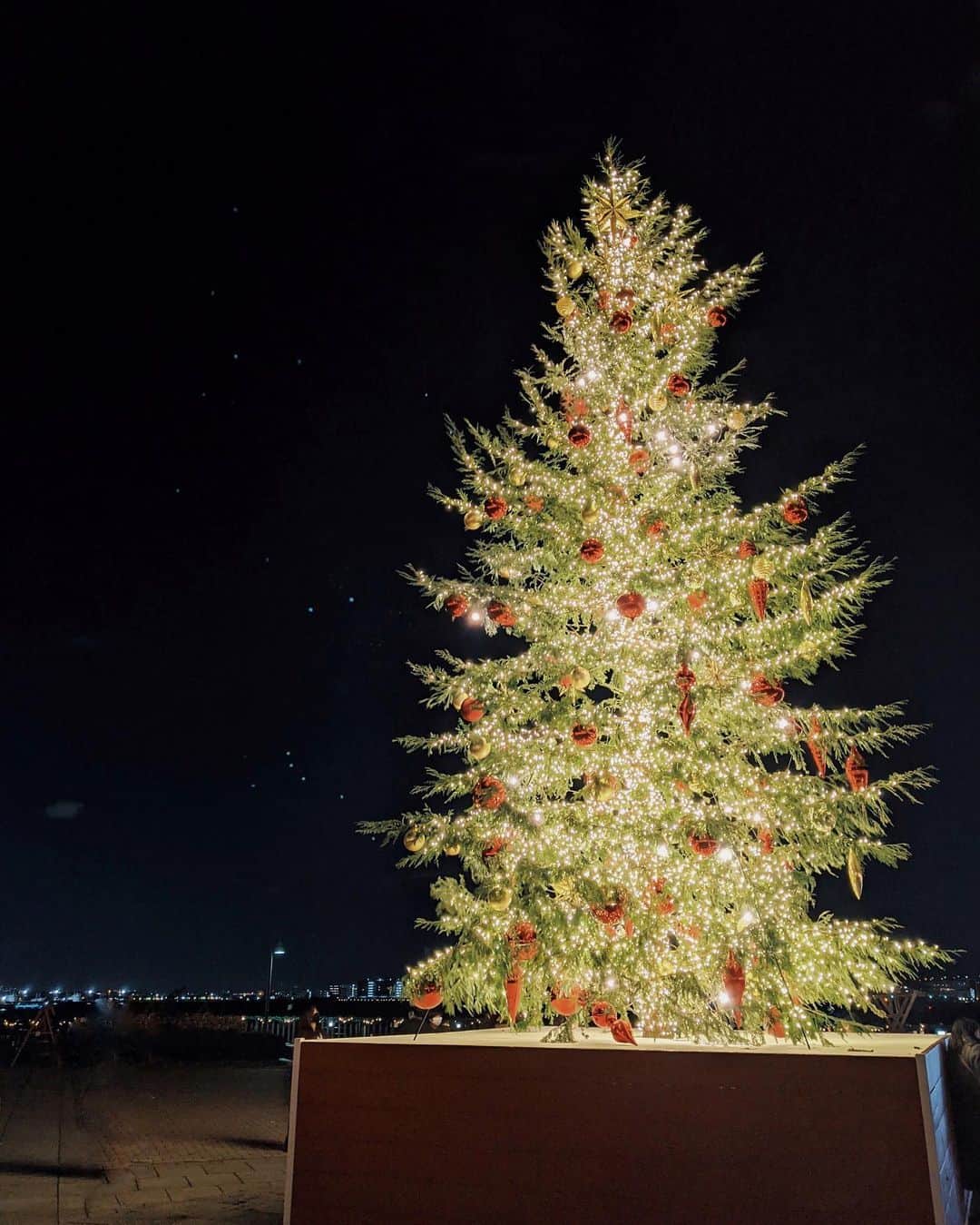 中川珠里さんのインスタグラム写真 - (中川珠里Instagram)「.  ちょっと前のChristmas Market🎄  来年は本物もみの木にしたいなと思いました。迫力✨  確かこの日から急に寒くなったんだよな... 極寒で滞在はほんのちょっとだったけど クリスマス味わえて楽しかった🤎  サンタさんのプレゼントは24日の朝❔25日の朝❔ どちらなんでしょう🎅🏽  #pixelで撮影 #teampixel #pixelやはり綺麗 #christmastree」12月23日 19時29分 - juri1104