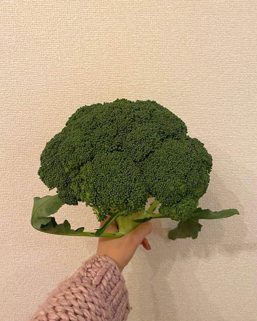 宮本侑芽のインスタグラム：「. おっきない？？？  どうしてやろうか....  #宮本侑芽」